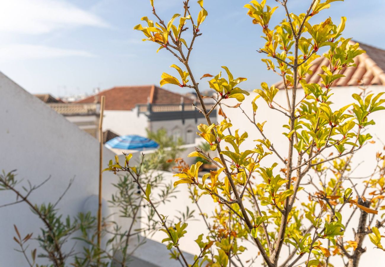 Casa em Tavira - Casa Alecrim -  Elegância e Conforto em Tavira
